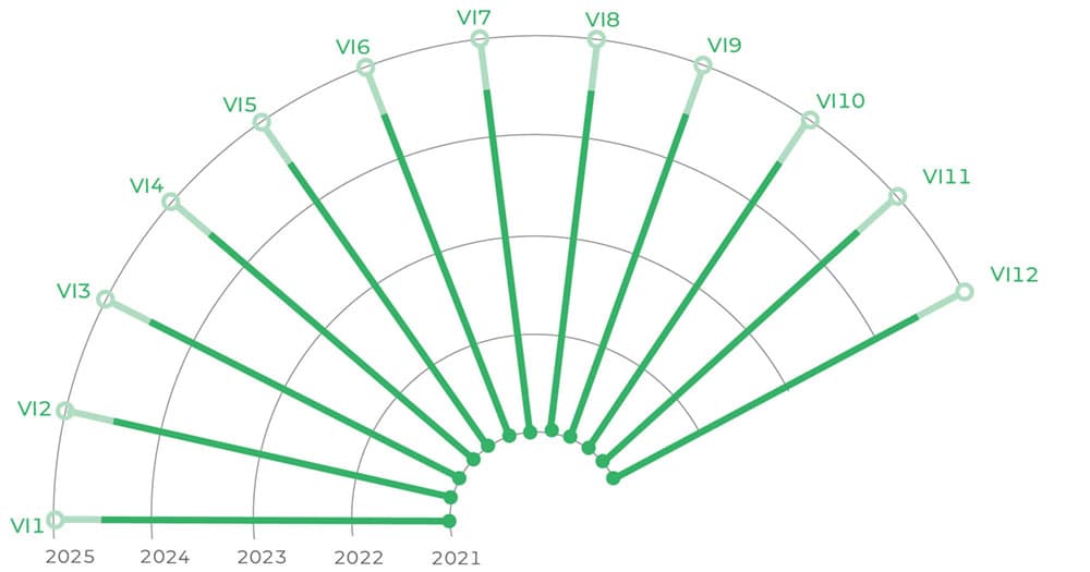 Chart showing timeline of Vision goals and action steps